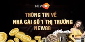 Thông tin bao quát về sân chơi New88