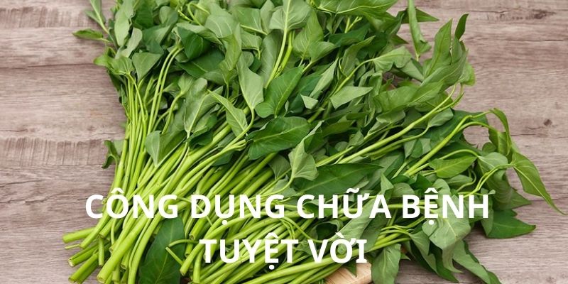 Lời giải đáp cho câu đau dạ dày có ăn được rau muống không