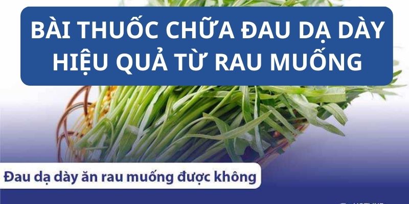 Phương thuốc chữa đau dạ dày từ rau muống